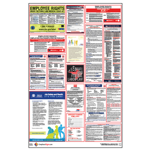 District Of Columbia Labor Law Combo Poster CS791588