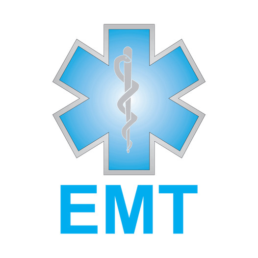 EMT Label EMSE-11003 Hard Hat / Helmet Labels