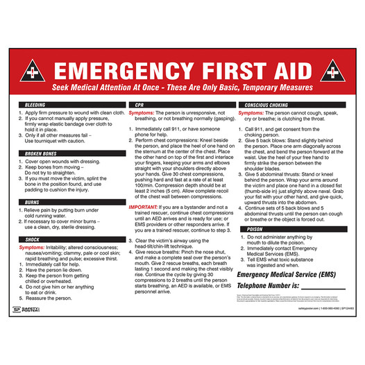 Emergency First Aid Poster CS229256