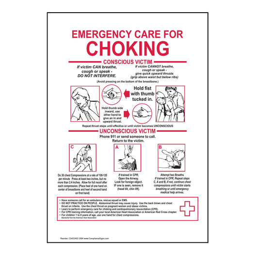 Emergency Care For Choking Sign NHE-9435