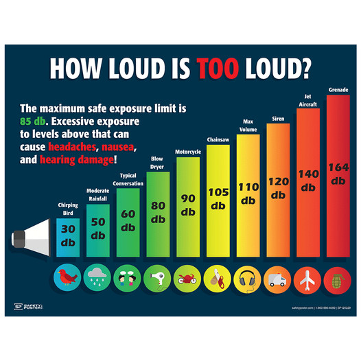 How Loud Is Too Loud? Poster CS369192