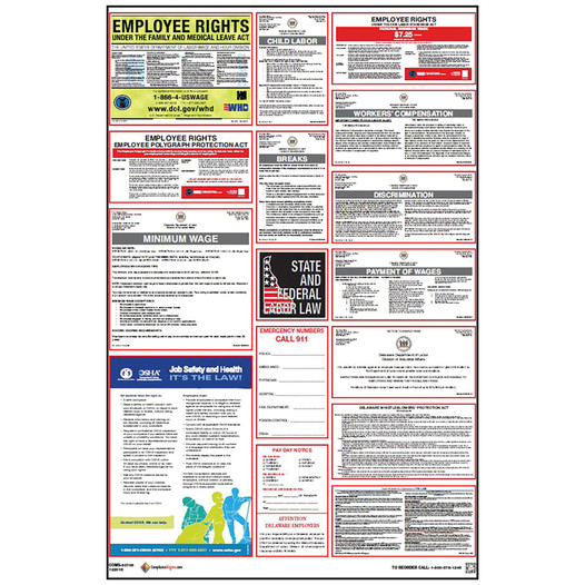 Delaware Labor Law Combo Poster CS423086