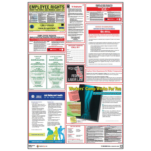 Florida Labor Law Combo Poster CS734858