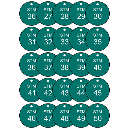 Stm Steam 26-50 Valve Tags ET-15S2650-RND-WHTonGreen