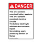 Portrait ANSI DANGER This area contains energized battery systems Sign ADEP-28322