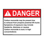 ANSI DANGER Carbon monoxide may be present due to exhaust Sign ADE-31320