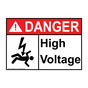ANSI DANGER High Voltage Sign with Symbol ADE-28593