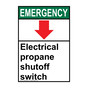 Portrait ANSI EMERGENCY Electrical propane Sign with Symbol AEEP-28648