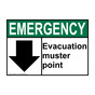 ANSI EMERGENCY Evacuation muster point [ down arrow ] Sign with Symbol AEE-25601