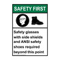 Portrait ANSI SAFETY FIRST Safety glasses with Sign with Symbol ASEP-36405