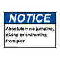 ANSI NOTICE Absolutely no jumping, diving or swimming Sign ANE-34582