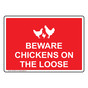 Beware Chickens On The Loose Sign With Symbol NHE-29204