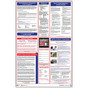 Quebec Employment And Labour Standards Poster CS281279