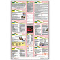 Saskatchewan Employment And Labour Standards Poster CS997197