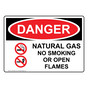 OSHA DANGER Natural Gas No Smoking Or Open Flames Sign With Symbol ODE-4565