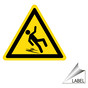 Slippery Symbol Label for Facilities LABEL_TRIANGLE_41-R