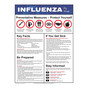 Influenza Flu Virus Preventative Measures - Protect Yourself Poster CS993055