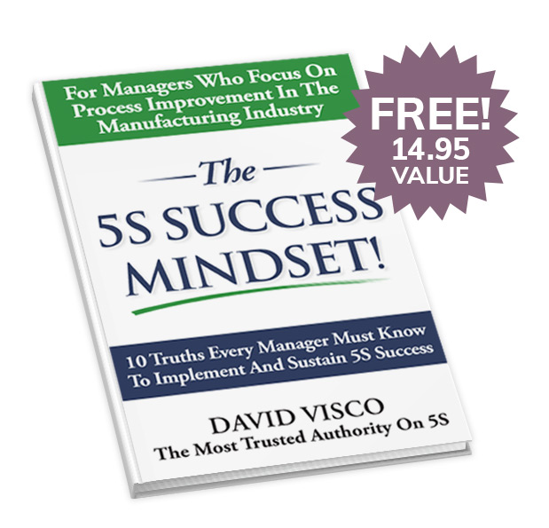 The 5S success mindset free book
