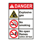 Portrait ANSI DANGER Explosive Gas No Smoking No Open Flames Sign ADEP-28095