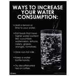 Ways To Increase Water Consumption Poster, 22x17 in. Paper