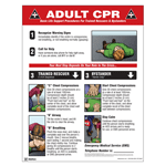 Adult CPR Basic Life Support Procedures Poster, 22x17 in. Paper