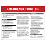 Emergency First Aid Poster, 22x17 in. Paper