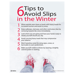 6 Tips To Avoid Slips In The Winter Poster, 22x17 in. Paper