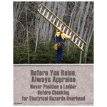 Before You Raise, Always Appraise Ladder Poster