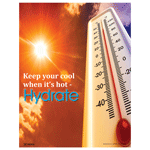 Keep Your Cool When It's Hot Poster, 22x17 in. Paper