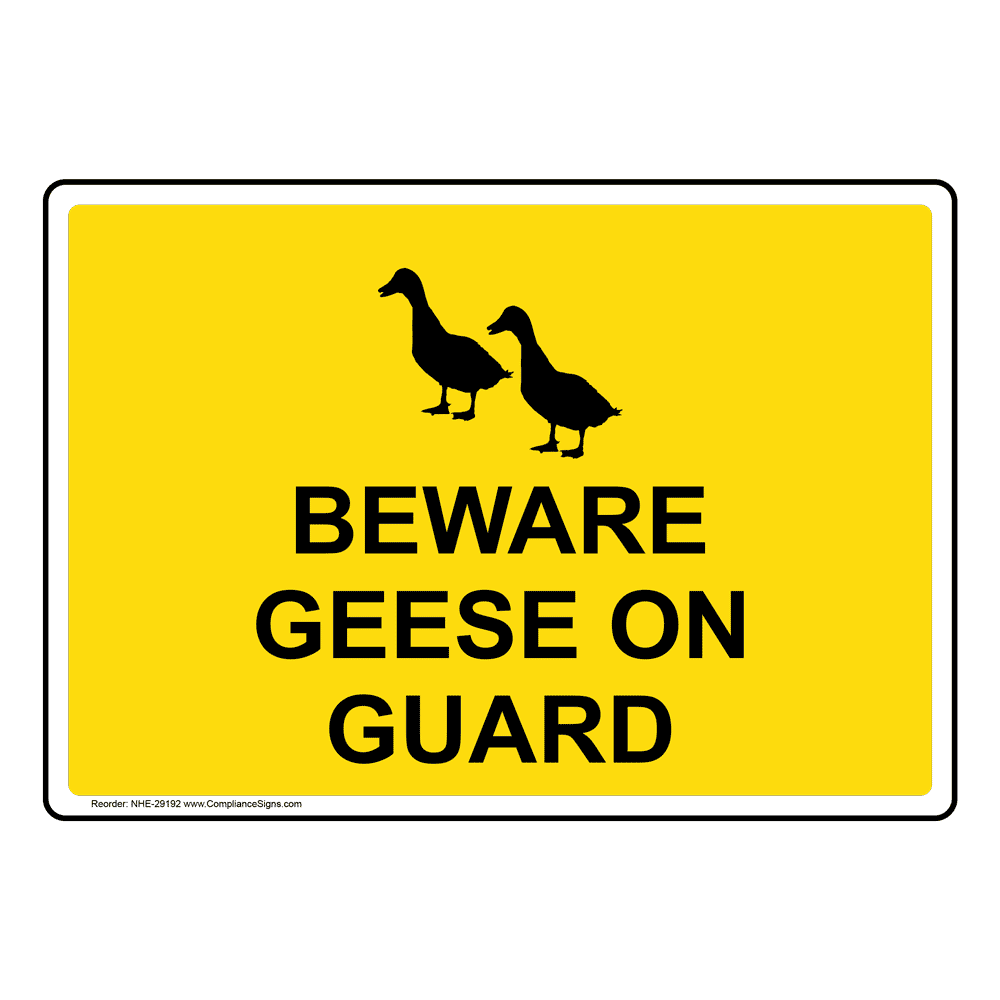 Pet Garden Sticker House Beware of the Chicken S**t 160 x 105mm Plastic Sign 