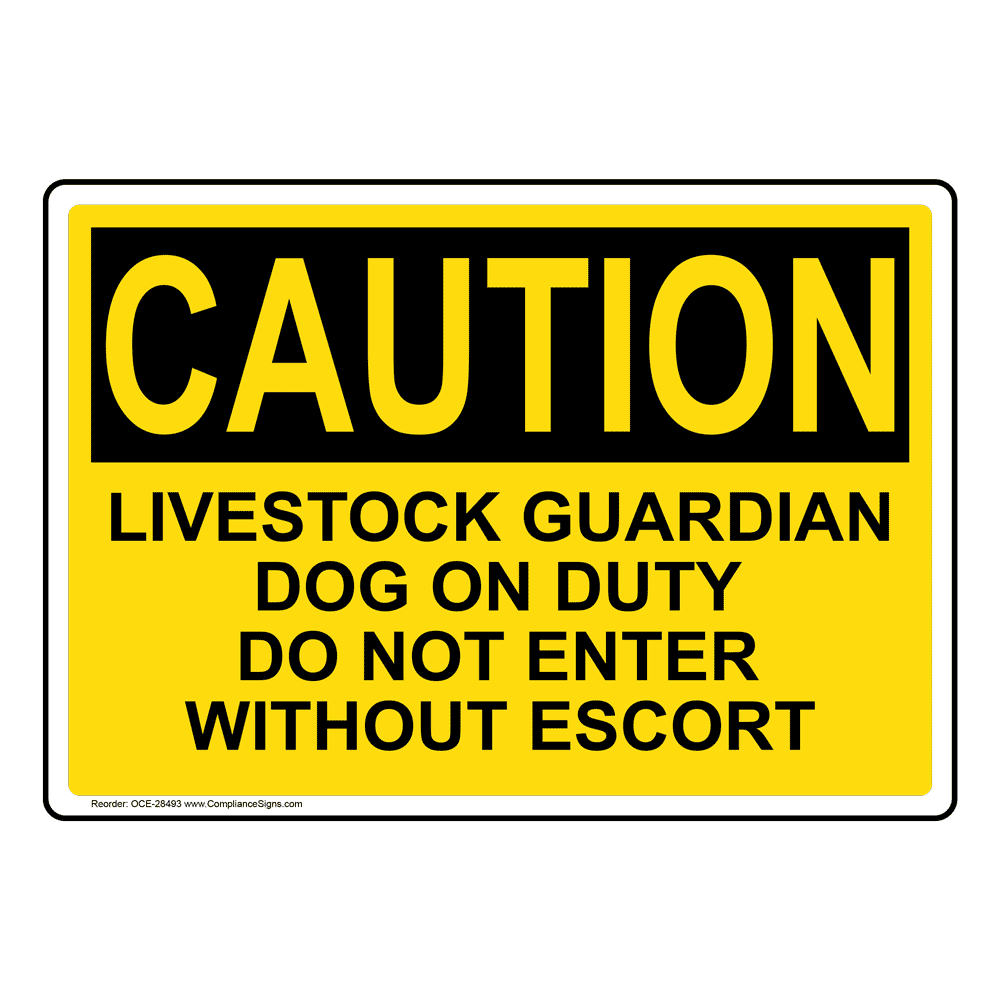 V Safety Schild 'Beware Of The Dog' – 150 X 100 Mm, Starker Kunststoff, Für Innen & Außen